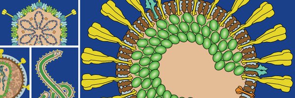 gcevd Profile Banner
