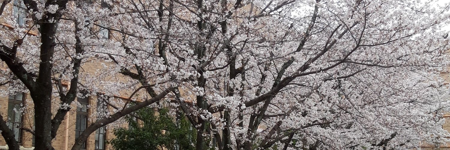 myharisma's profile banner image