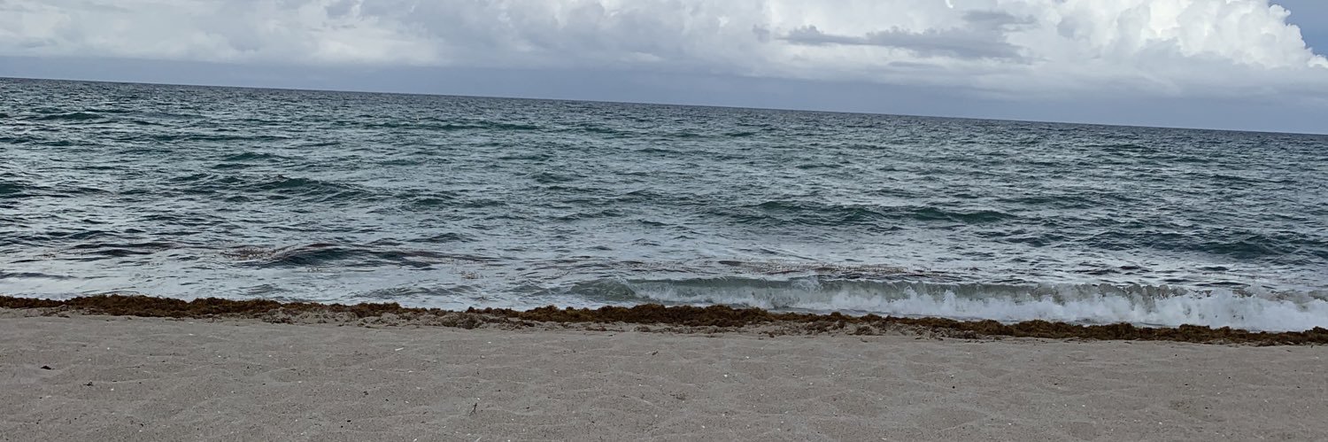 MooseyMcmooseface banner