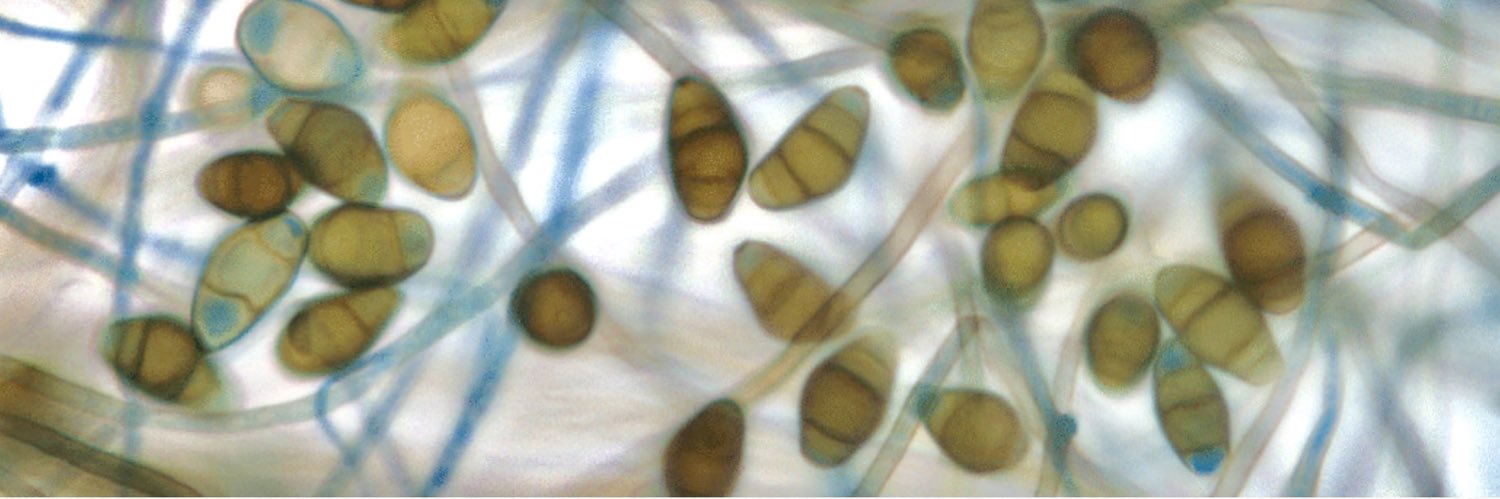 Eric Rosenbaum banner