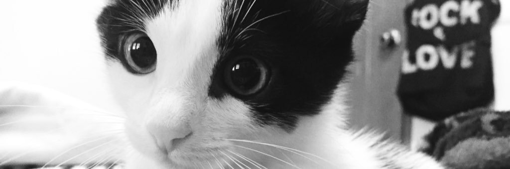 siul_adnanref's profile banner image