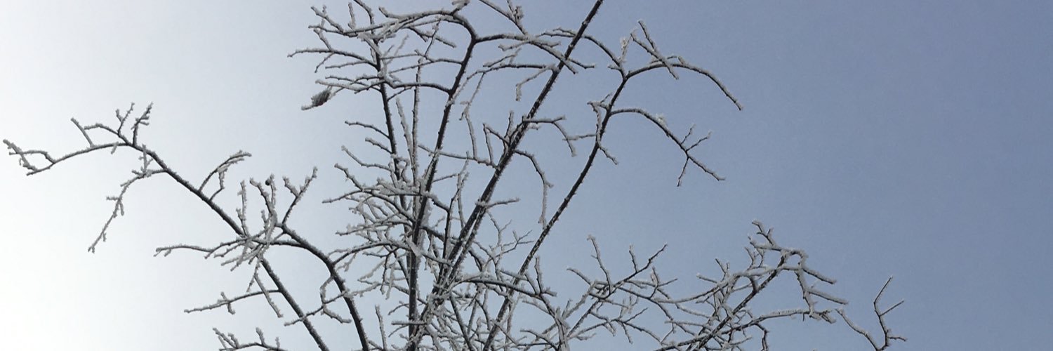 AiryAubry's profile banner image