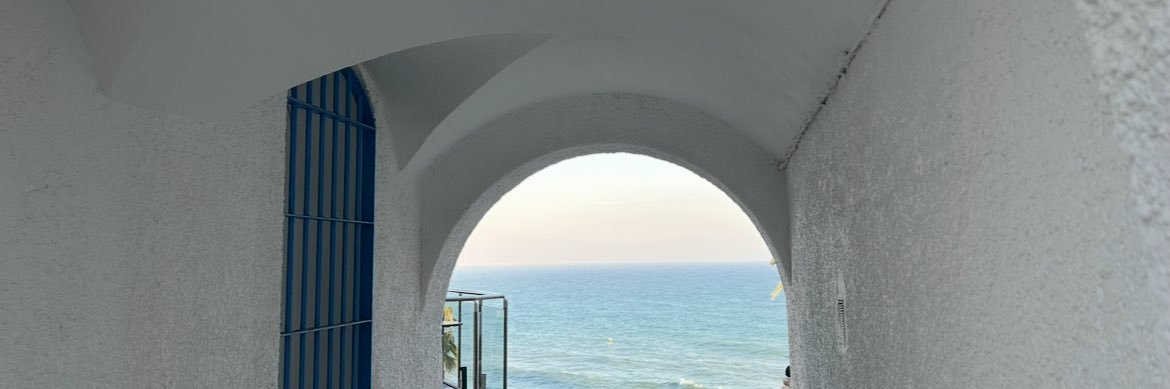 si ferteto ✭🇩🇿 banner