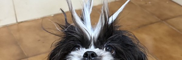 linealinocas Profile Banner