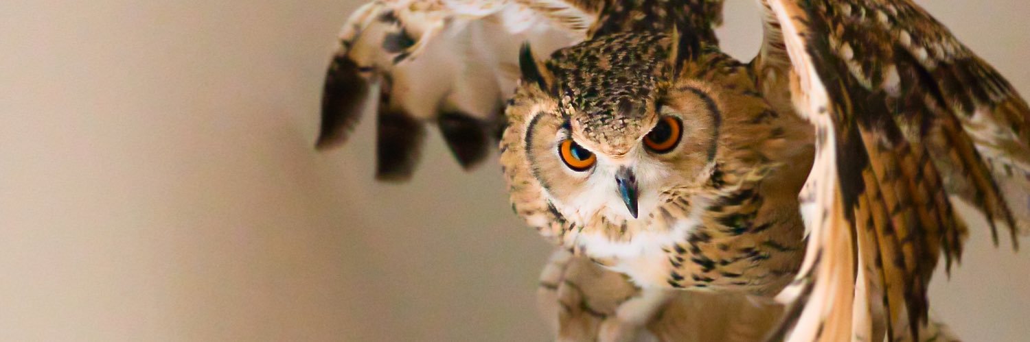 げんさんとガルー banner