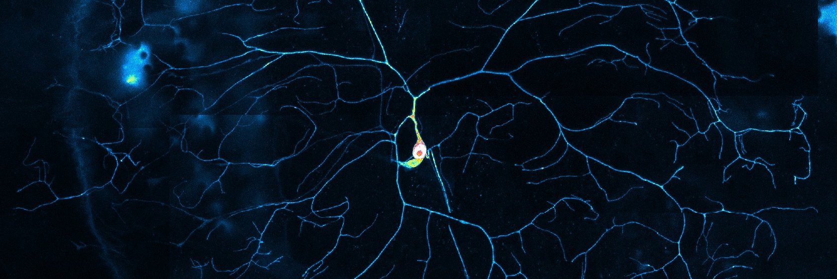 Mason Neuroscience banner