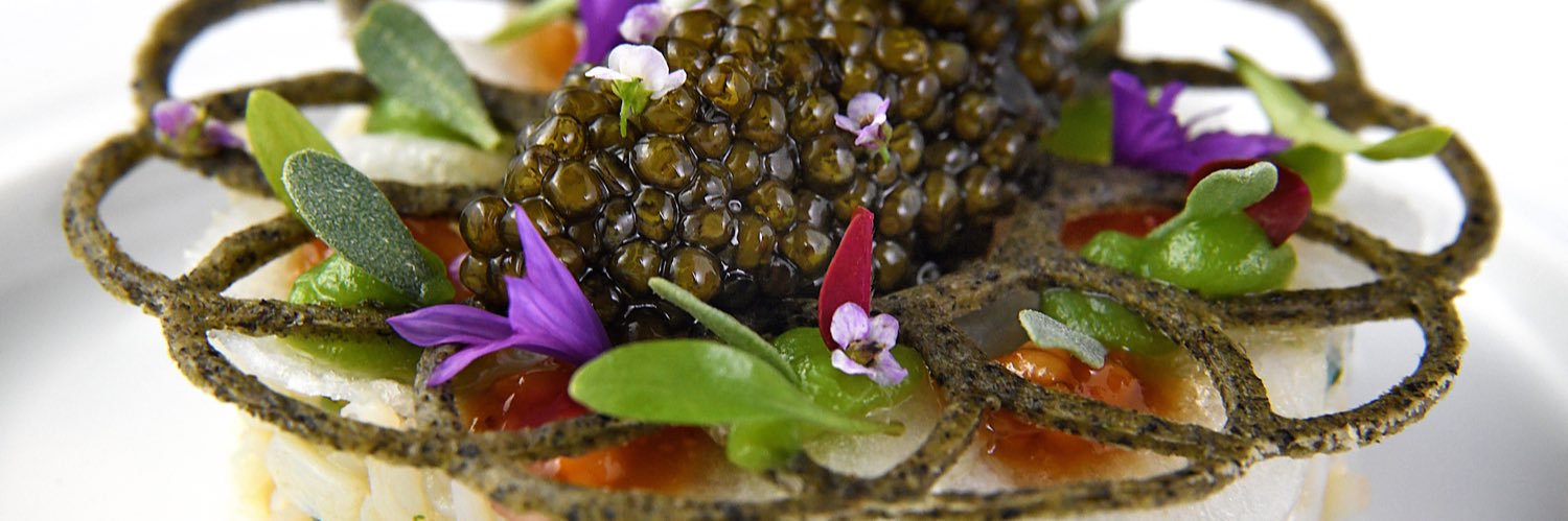 Catalin Jauca banner