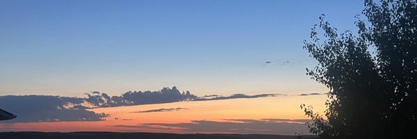 TingtingLi18 Profile Banner