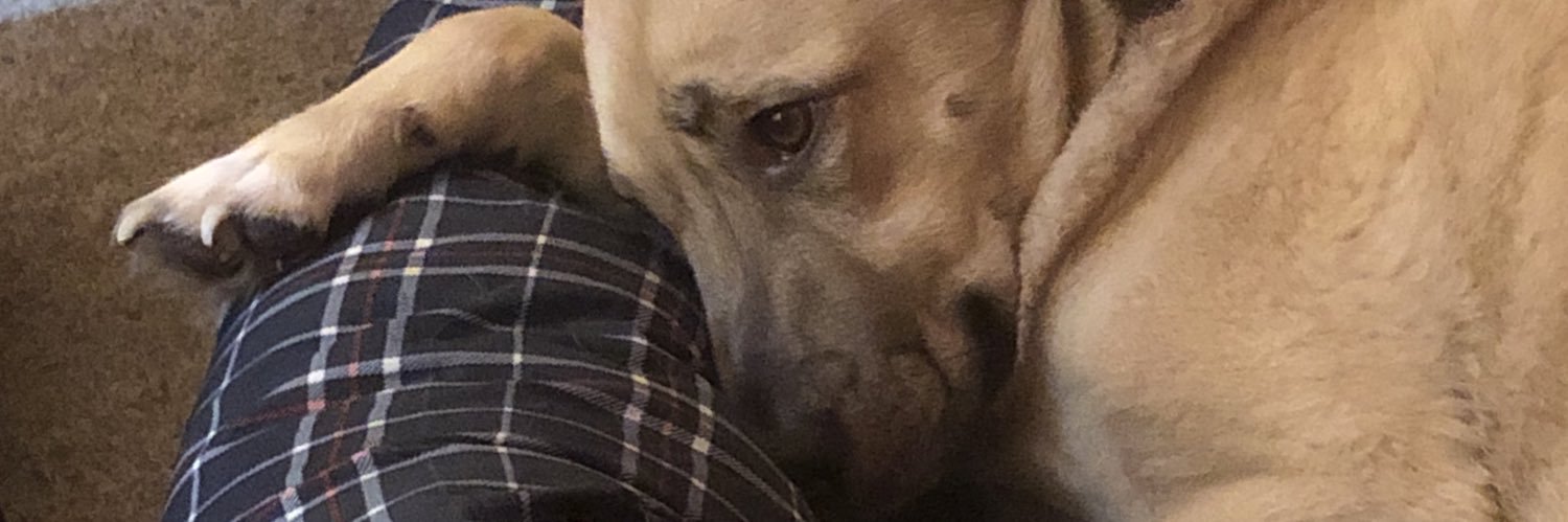 J_Crop's profile banner image