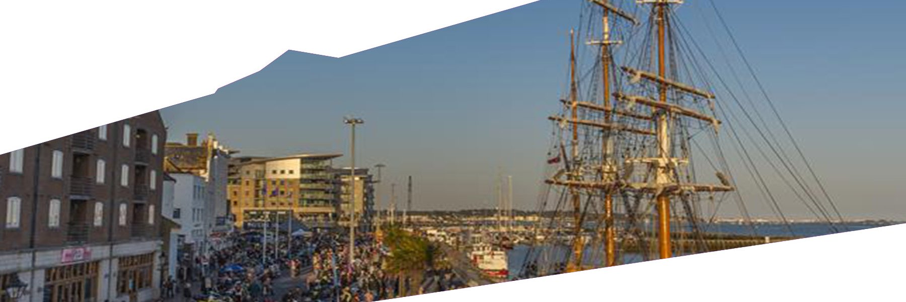 Pooletonians #POOLE banner