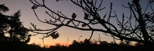 peng_yunke Profile Banner