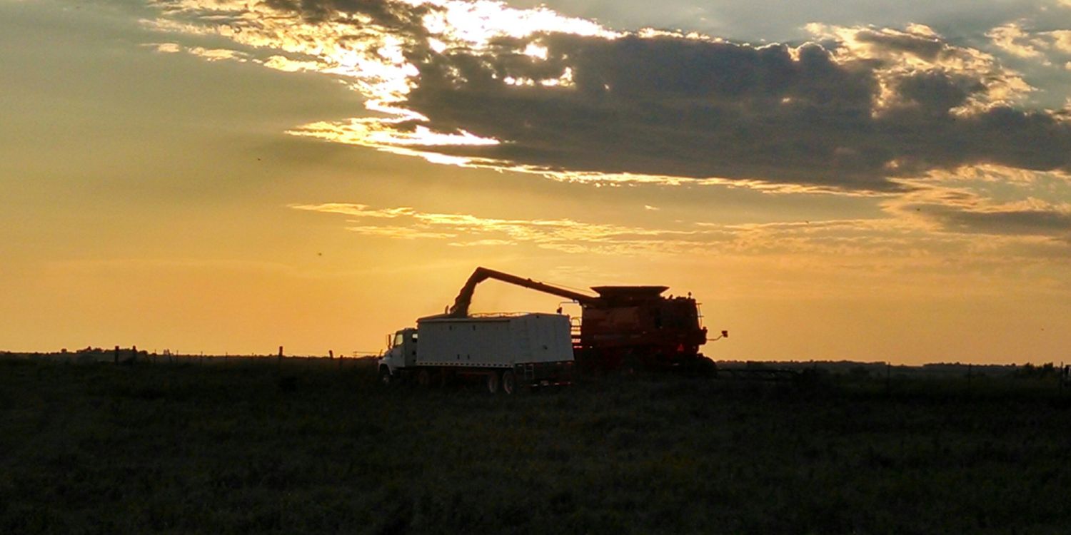 mroe1096's profile banner image