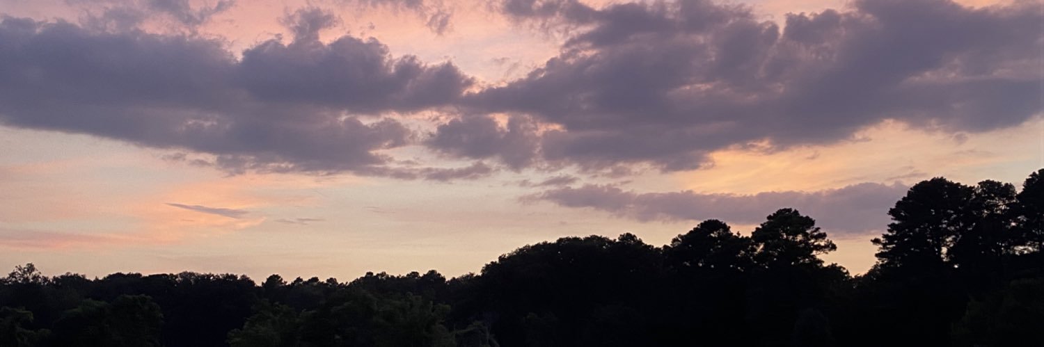 maeganstaton's profile banner image