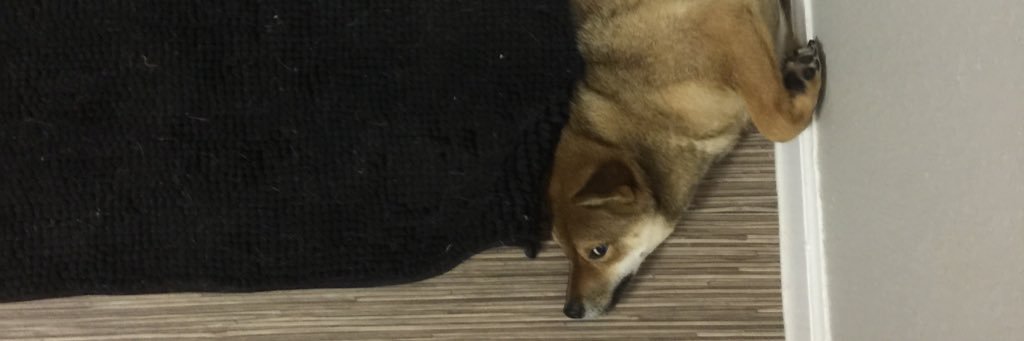 MareLoveJoy's profile banner image