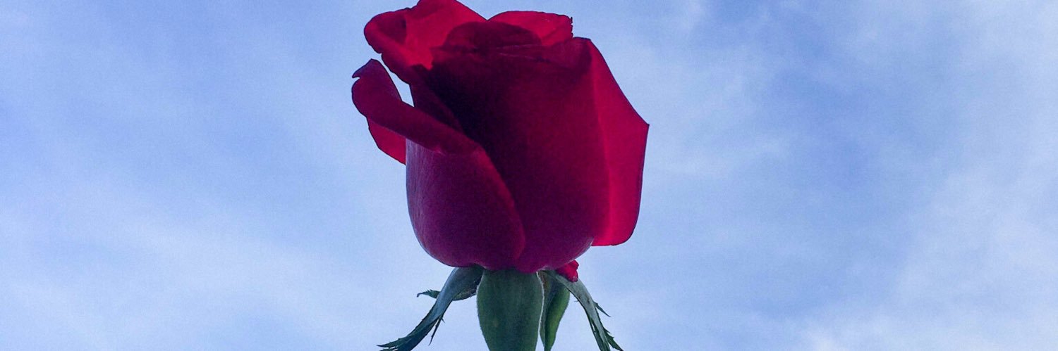 _joaou's profile banner image