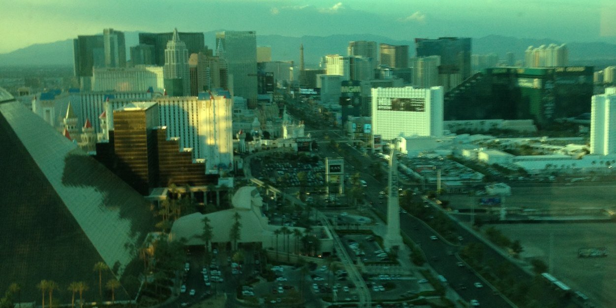 Daniel Senior banner