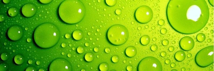 sofiazuliani's profile banner image