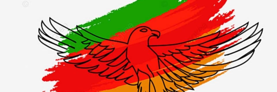 Junior Davies aka JD 🇿🇲🇿🇲🇿🇲🇿🇲 banner