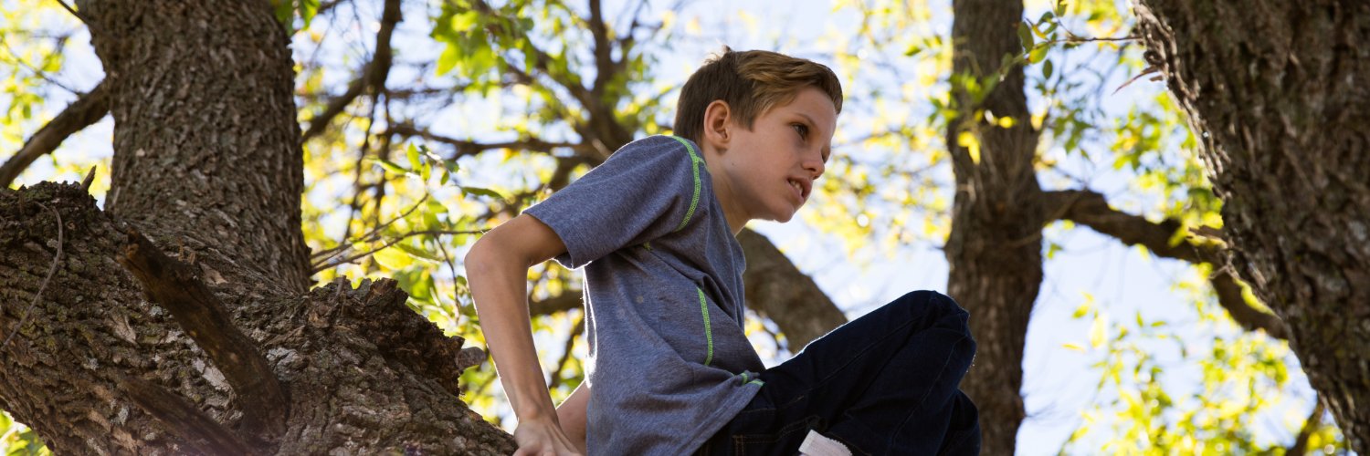 The LiiNK Project banner