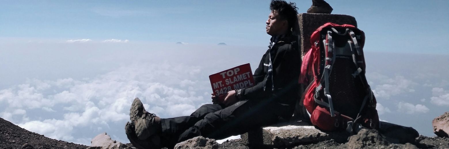 fefird's profile banner image