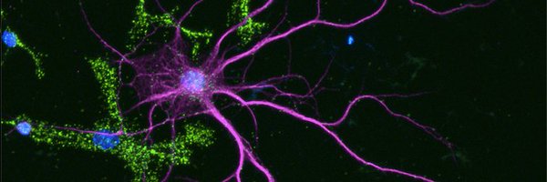 Mauricio_Neuro Profile Banner