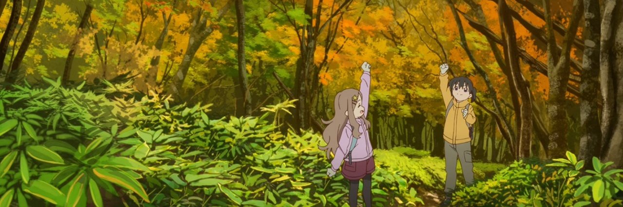 David Rodriguez banner