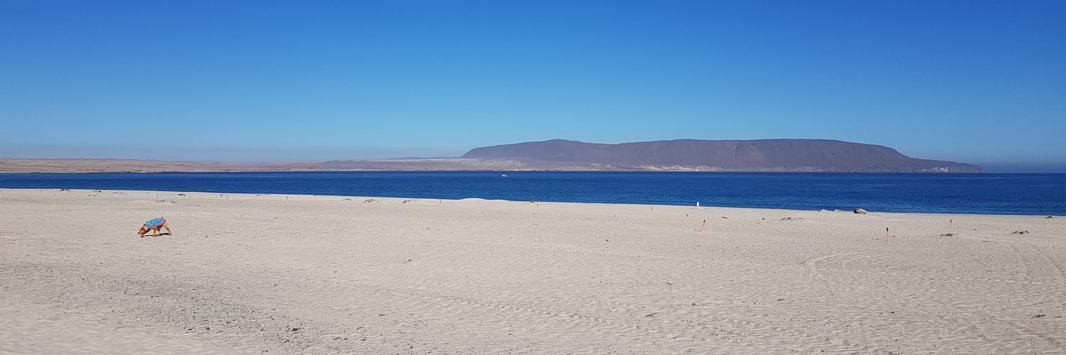CBallerin0's profile banner image