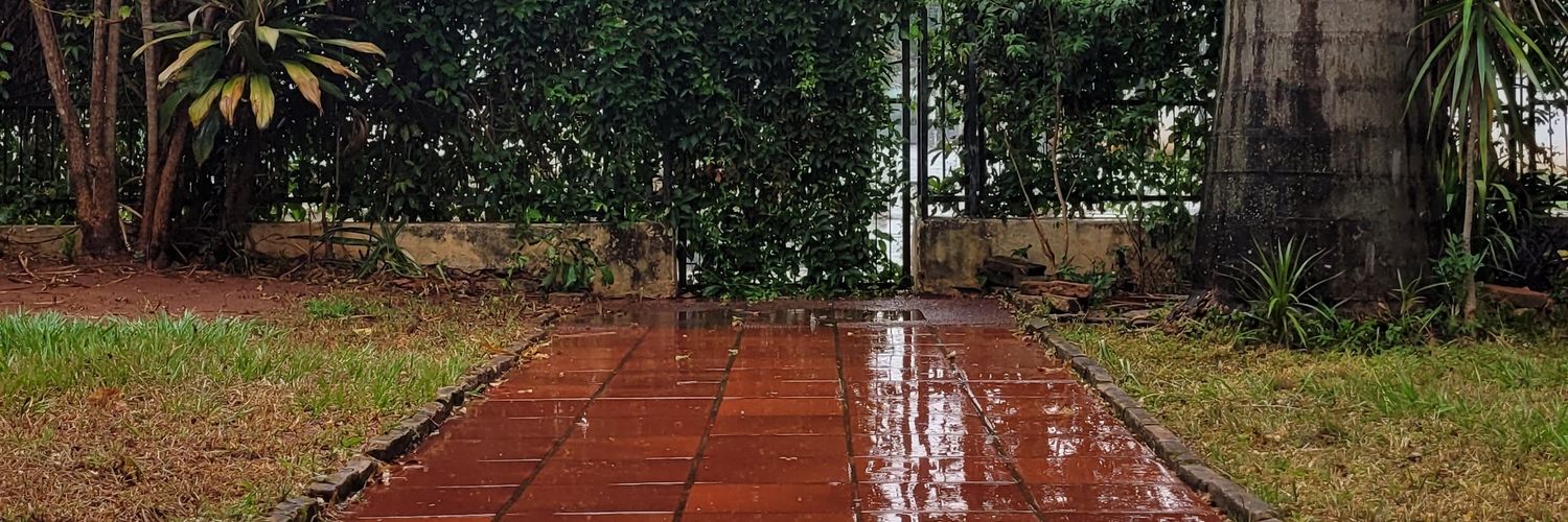 Emmanuel Báez banner