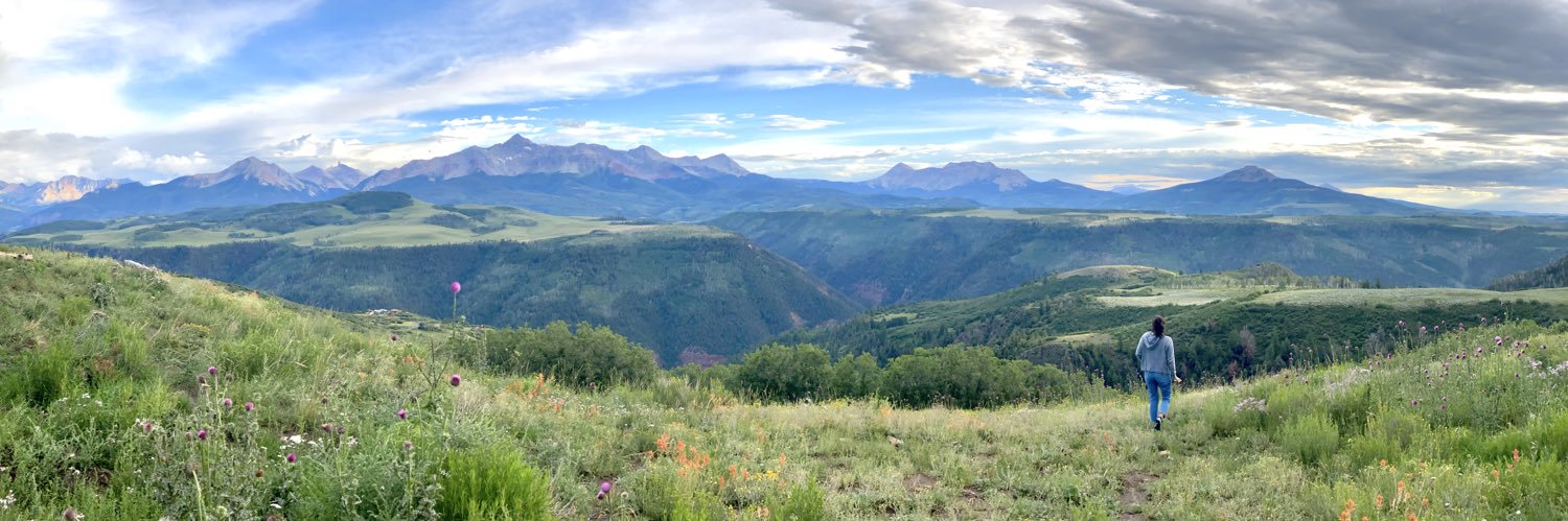 Tala Matchett banner