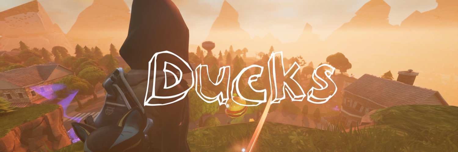 Ducks71435264's profile banner image