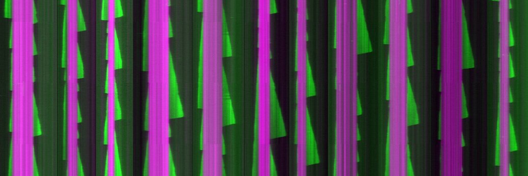 The Zanic Lab banner