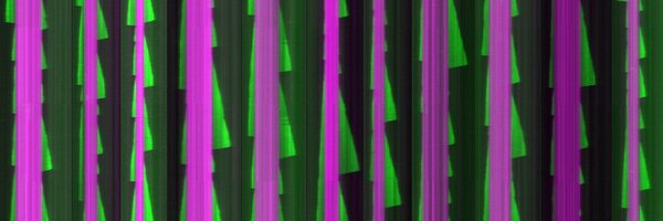 ZanicLab Profile Banner