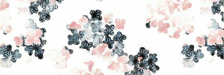 SusaanNava's profile banner image