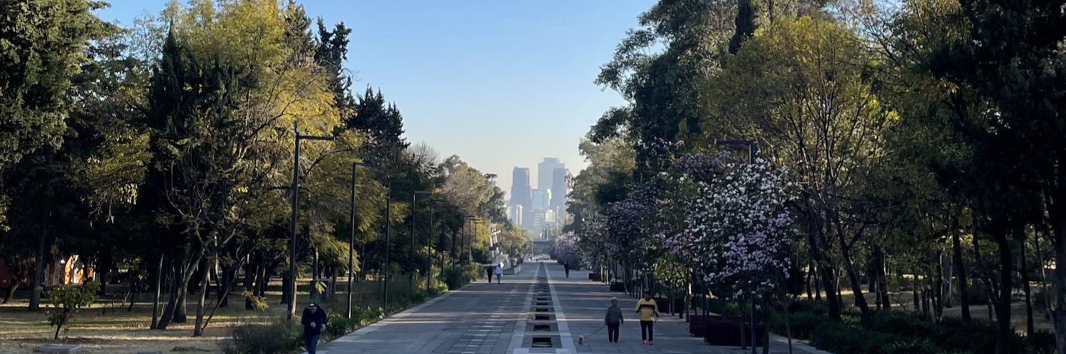 Mrs. Brightside banner