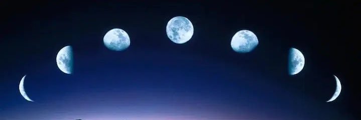 _rileys_roses's profile banner image