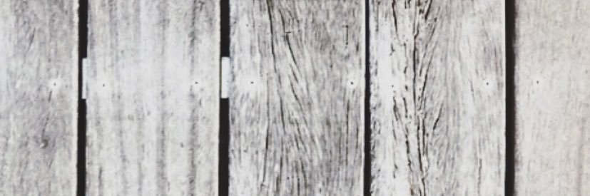 DesireeGiner's profile banner image