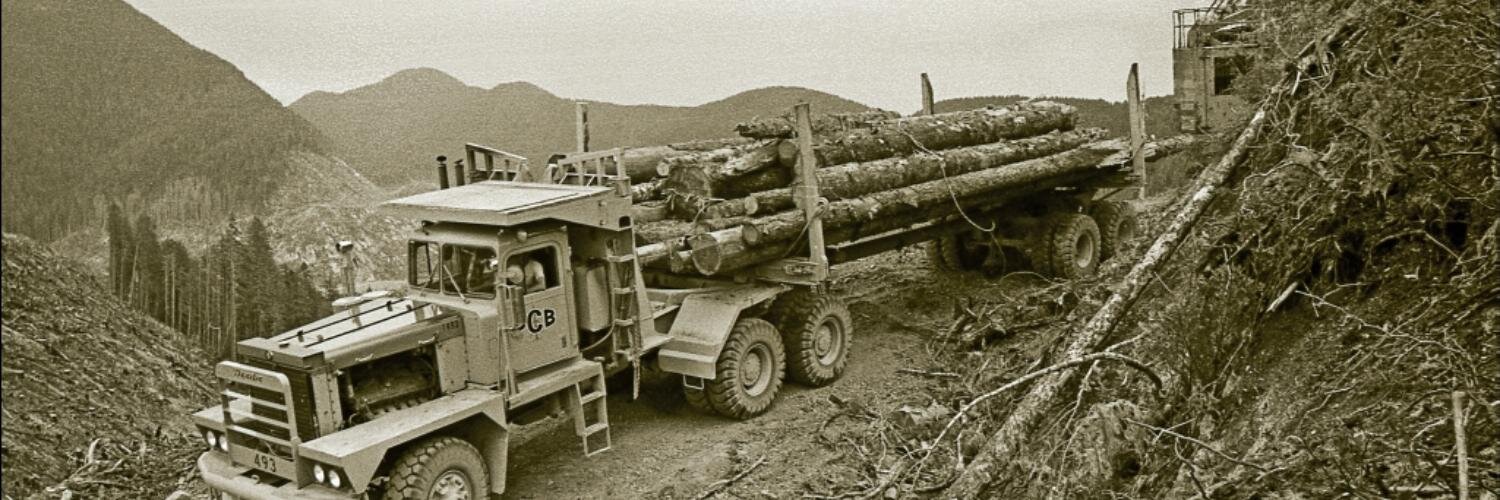 CAnneRogers's profile banner image