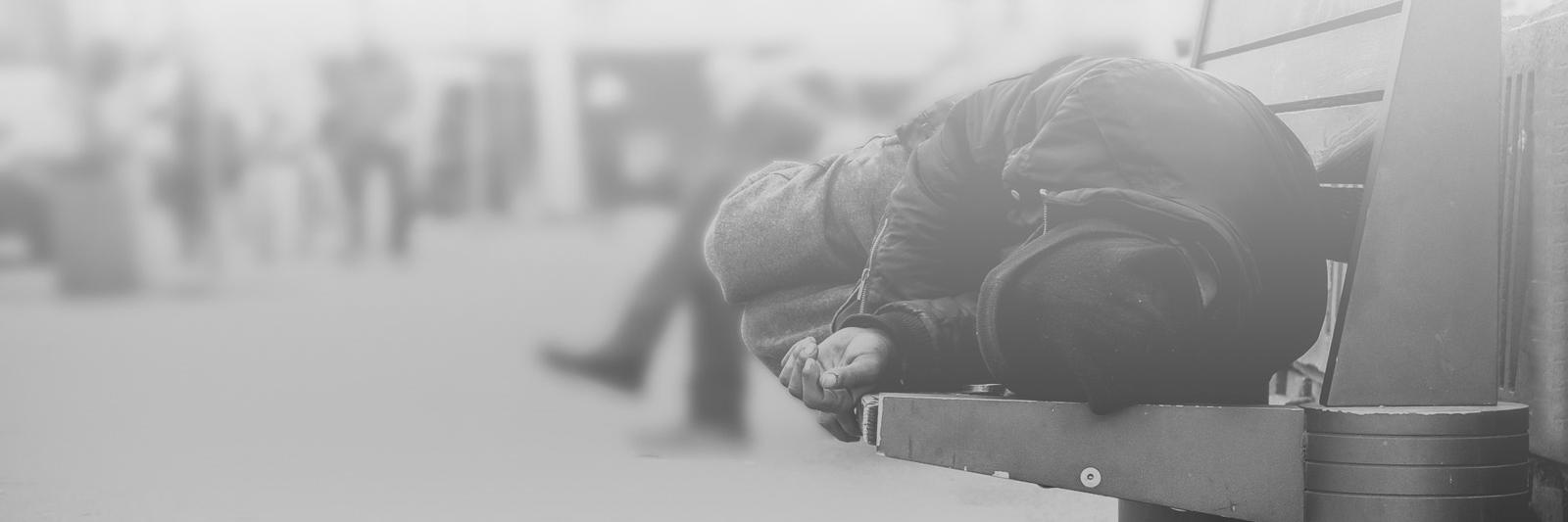 Lifeshare banner