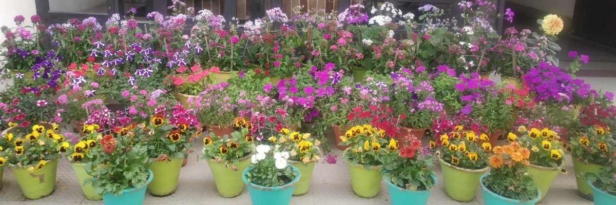 Aparna banner