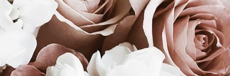 ShellieLellie's profile banner image
