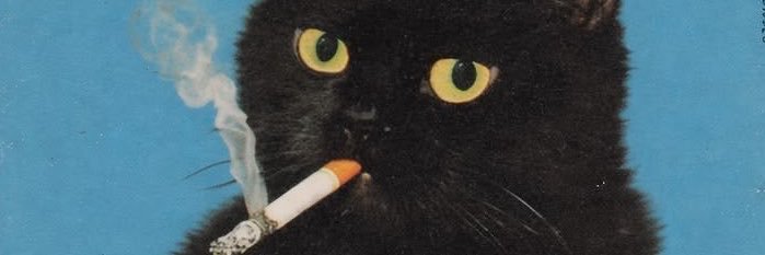 cosxts_'s profile banner image