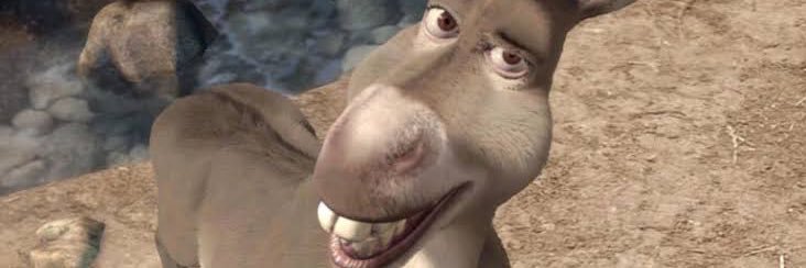 burro do shrek banner