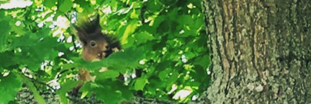 dworekk's profile banner image