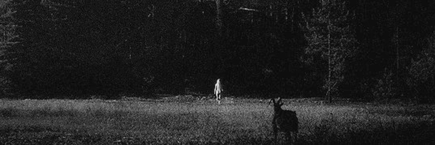 _NateHaley's profile banner image