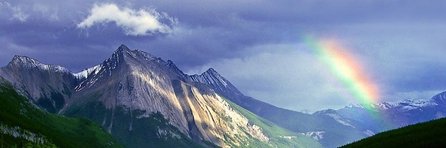 butchey12's profile banner image