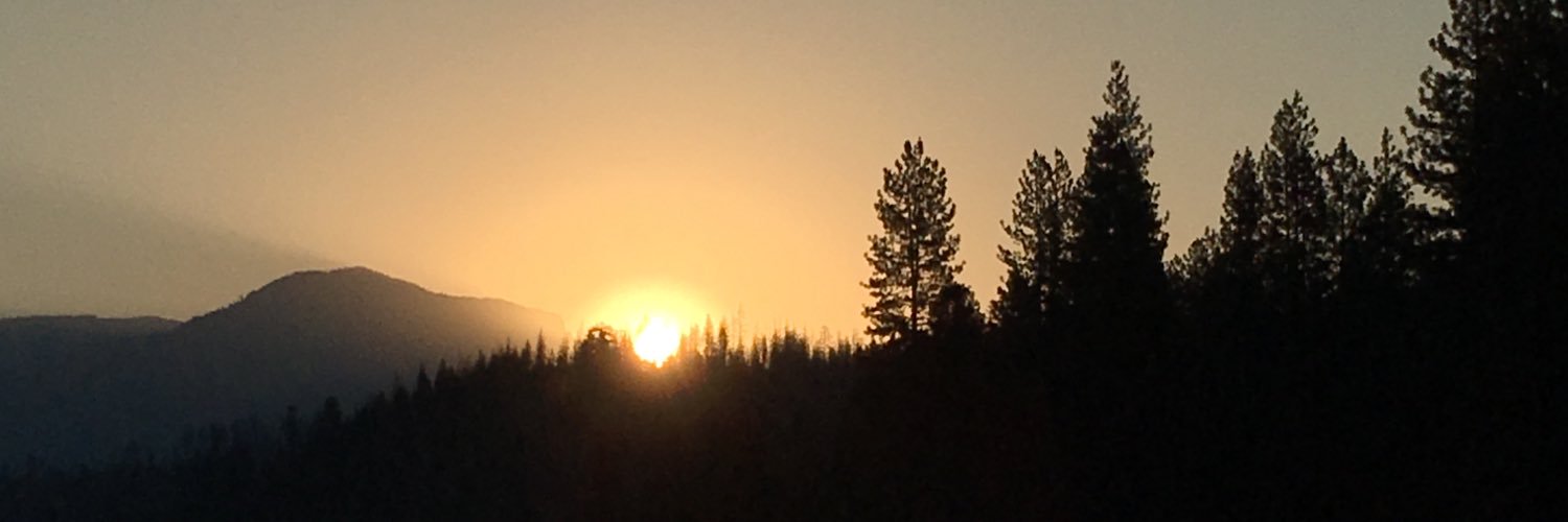 Trevor Lind banner