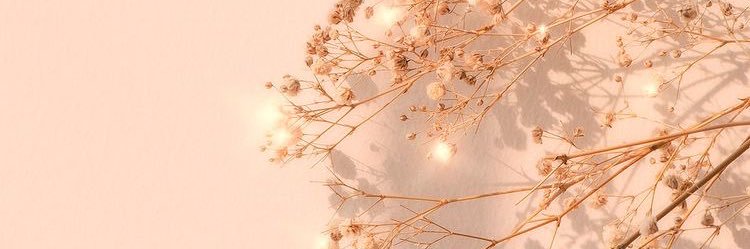 henoo136's profile banner image
