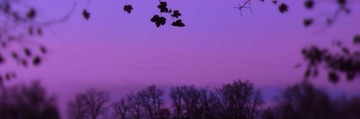 9900_h's profile banner image