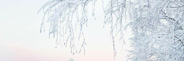 jujuenthu's profile banner image