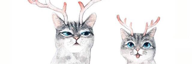 perihanboya's profile banner image